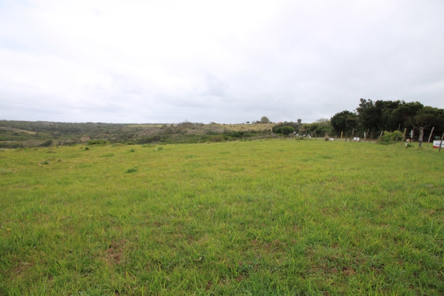 Commercial Property for Sale in Cosy Corner Eastern Cape